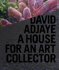 DAVID ADJAYE: A HOUSE FOR AN ART COLLECTOR