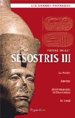 SESOSTRIS III ET LA FIN DE LA XIIE DYNASTIE