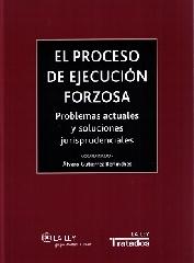 EL PROCESO DE EJECUCIÓN FORZOSA "PROBLEMAS ACTUALES Y SOLUCIONES JURISPRUDENCIALES"