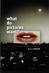 WHAT DO PICTURES WANT?