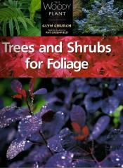 TREES AND SHRUBS FOR FOLIAGE