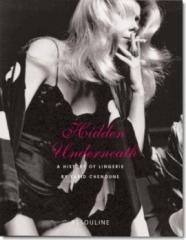 HIDDEN UNDERNEATH.  A HISTORY OF LINGERIE