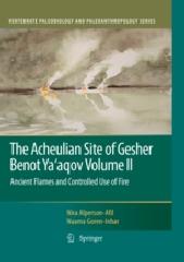 THE ACHEULIAN SITE OF GESHER BENOT YA'AQOV VOLUME II