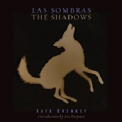 LAS SOMBRAS=THE SHADOWS