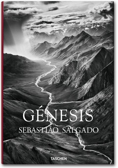 SALGADO, GENESIS