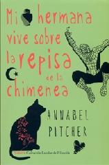 MI HERMANA VIVE SOBRE LA REPISA DE LA CHIMENEA