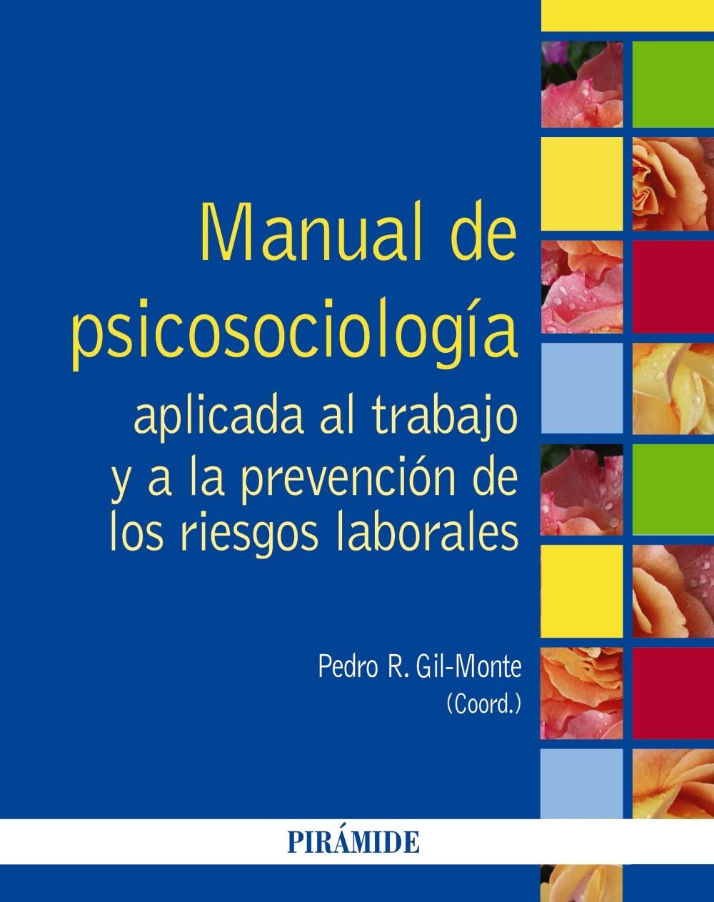 MANUAL DE PSICOSOCIOLOGIA APLICADA AL TRABAJO Y A LA PREVENCION DE LOS RIESGOS LABORALES