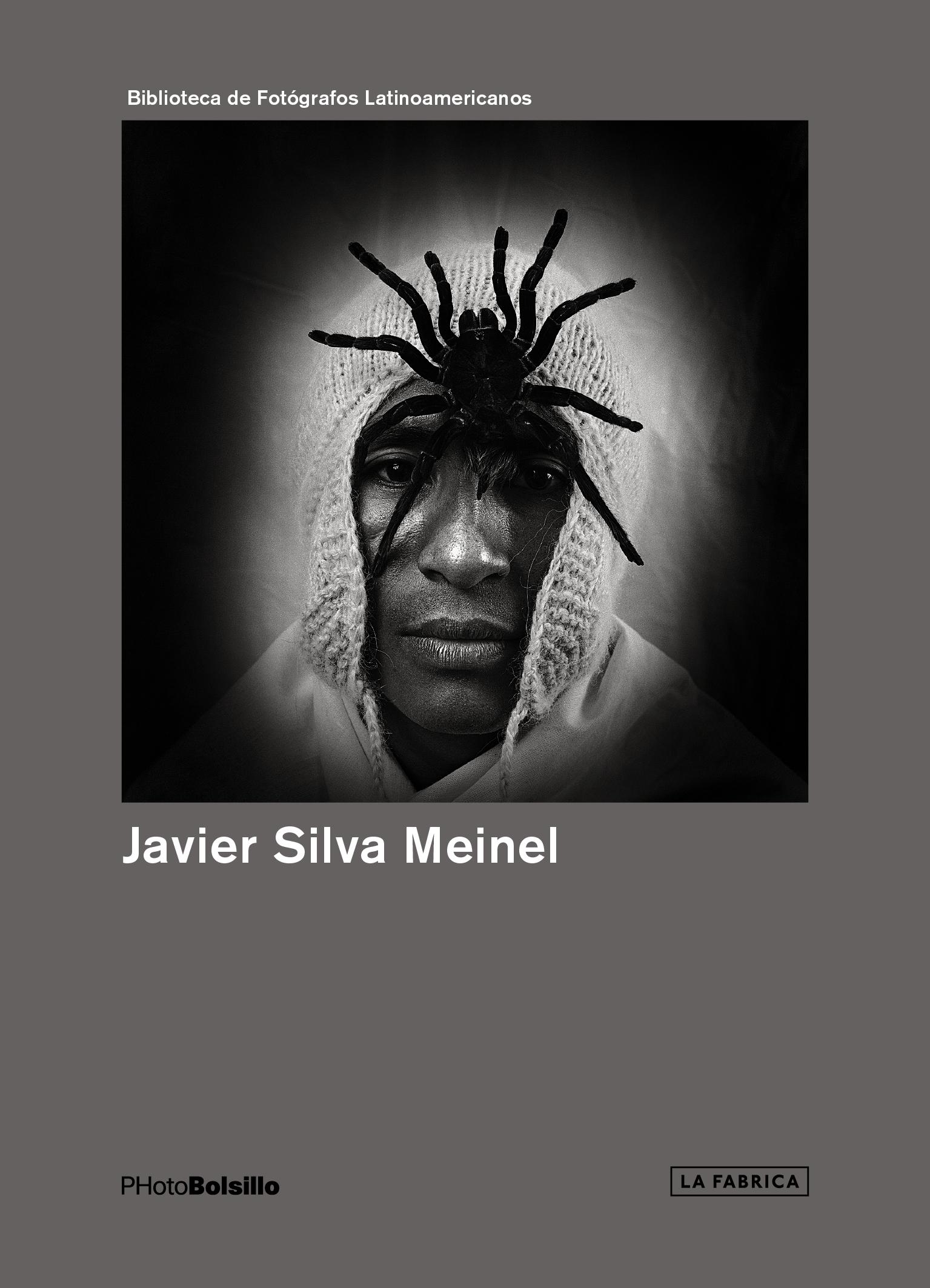 JAVIER SILVA MEINEL