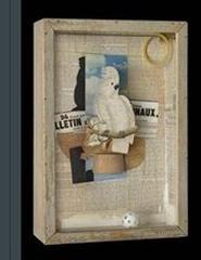 BIRDS OF A FEATHER " JOSEPH CORNELL'S HOMAGE TO JUAN GRIS"