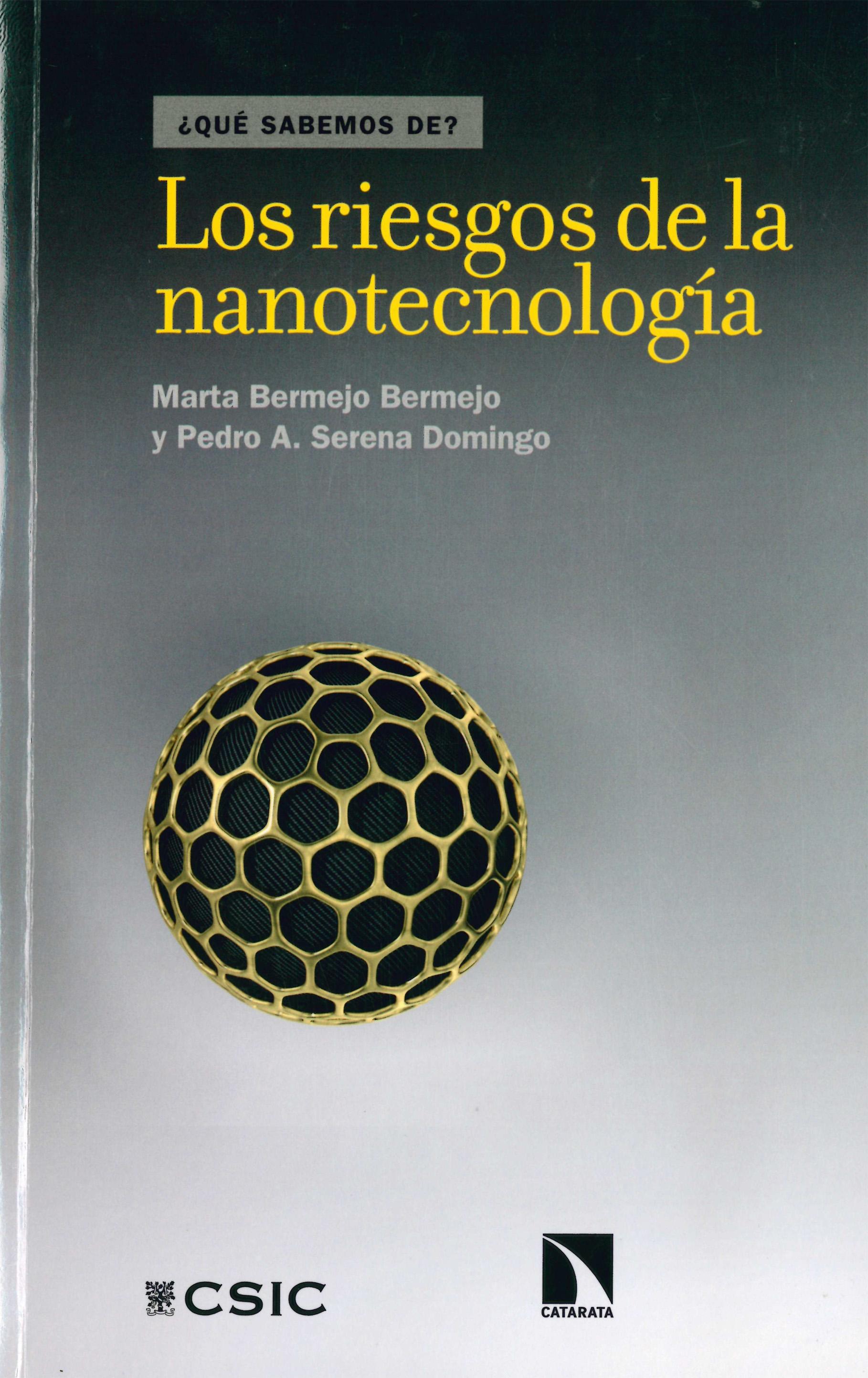 LOS RIESGOS DE LA NANOTECNOLOGíA