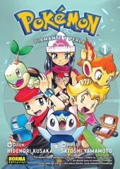 Pokémon 17