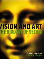 VISION AND ART: THE BIOLOGY OF SEEING