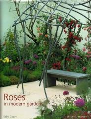 ROSES IN MODERN GARDENS