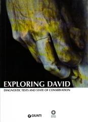 EXPLORING DAVID DIAGNOSTIC AND STATE OF CONSERVATION
