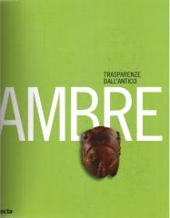 AMBRE. TRASPARENZE DALL'ANTICO.