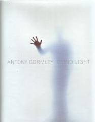 ANTONY GORMLEY BLIND LIGHT