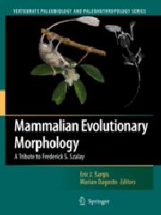 MAMMALIAN EVOLUTIONARY MORPHOLOGY